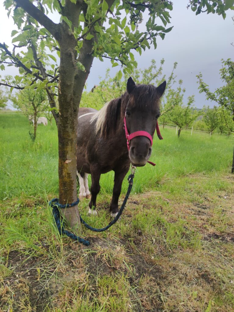 Cele mai frumoase locuri izolate lângă Cluj pentru o evadare în natură