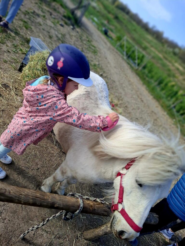 Cele mai frumoase locuri izolate lângă Cluj pentru o evadare în natură