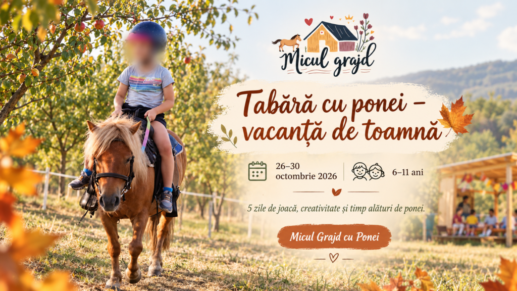 Tabara copii cu ponei cluj