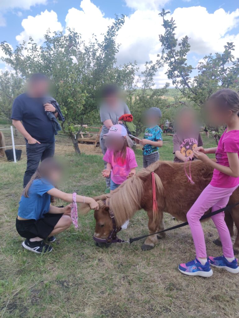 Asociatia Micul Grajd cu Ponei Cluj