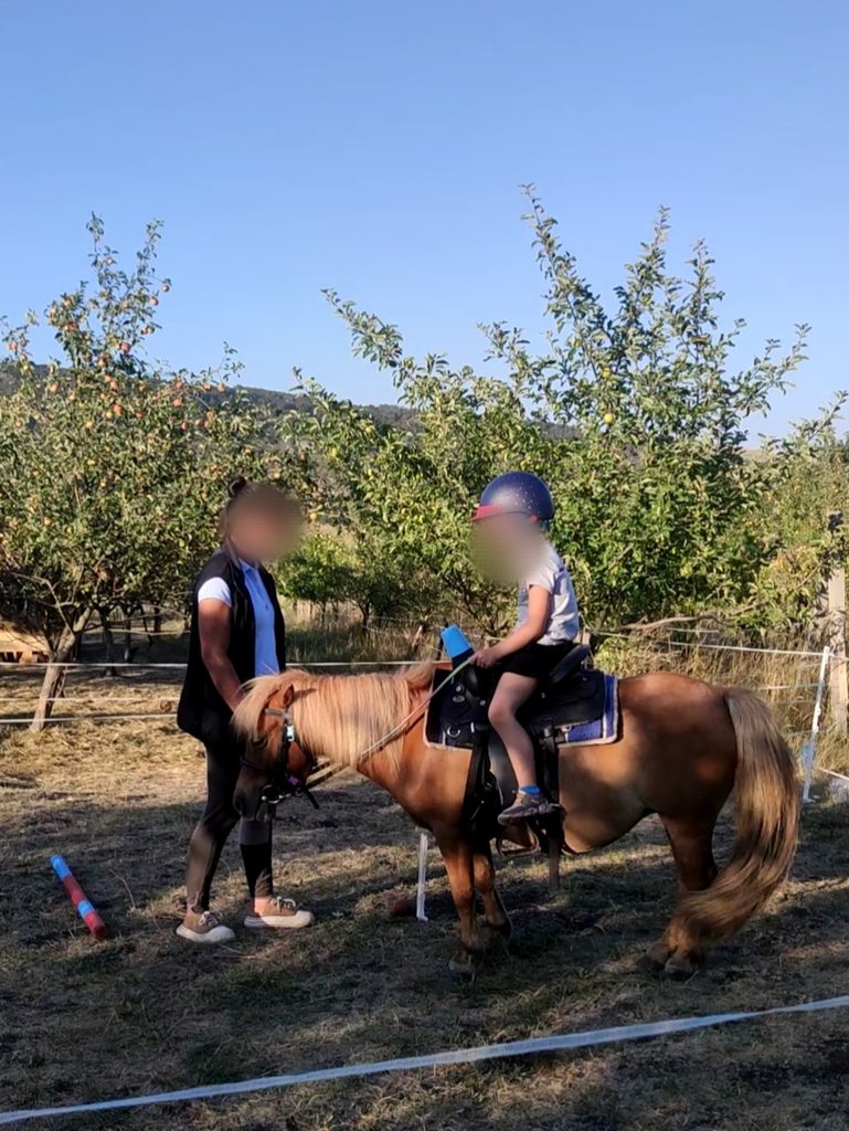 Ce învață copiii la o plimbare pe ponei Cluj Experiența de la Micul Grajd