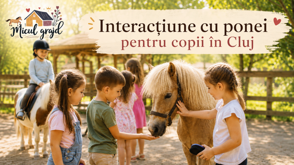 Interacțiune cu ponei pentru copii în Cluj
