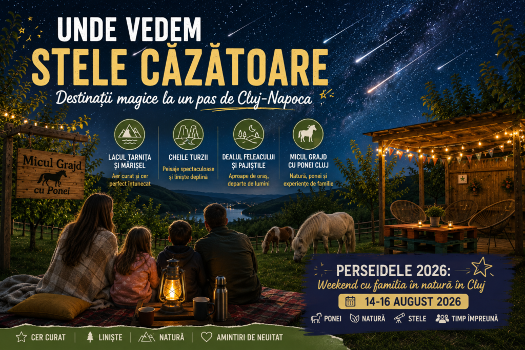 Unde vedem stele căzătoare lângă Cluj-Napoca