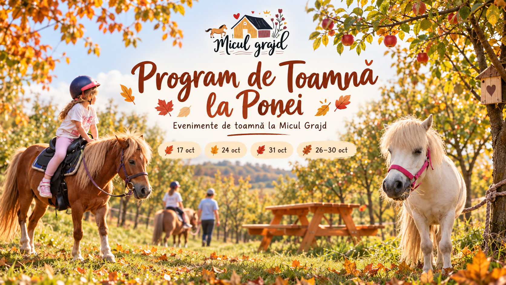 program de toamnă la ponei Cluj-Napoca
