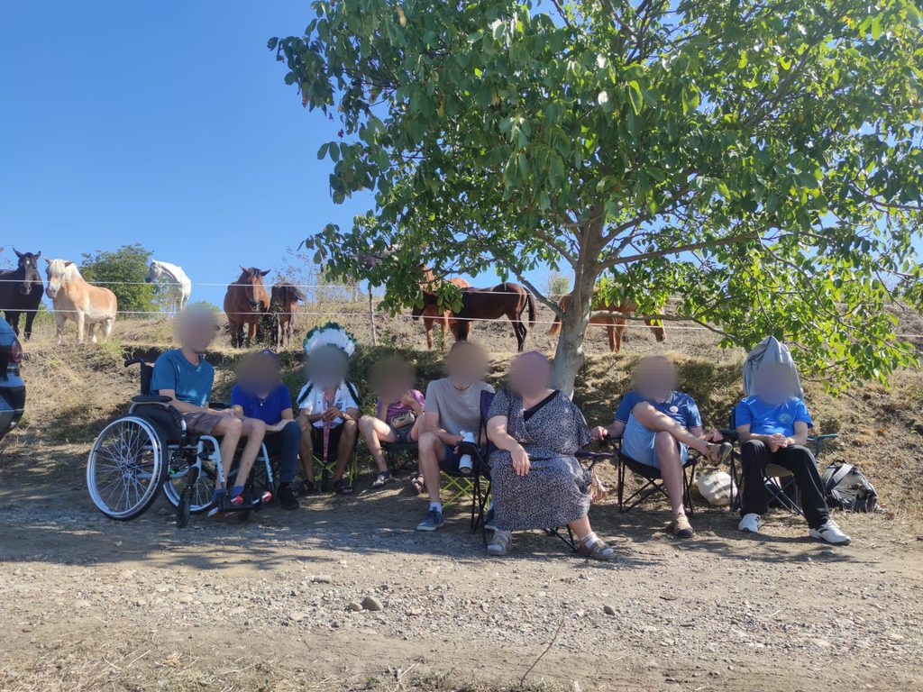 Terapie asistată de ponei